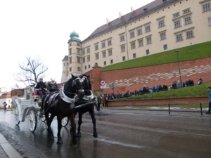 Koňské spřežení v Krakově