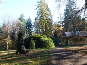 Arboretum Bukovina