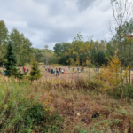 Spousta dobrovolníků se sešla na sázení stromků v Šilheřovicích